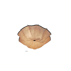 FLOS Celestia Ceiling Lamp ����㲼ˇ��픟�